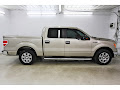 2010 Ford F-150 XLT