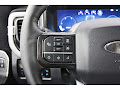 2025 Ford F-250SD Platinum