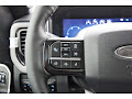 2025 Ford F-250SD Platinum