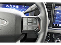2025 Ford F-250SD Platinum