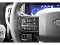 2025 Ford F-250SD Platinum