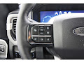 2025 Ford F-250SD Platinum