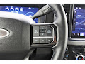 2025 Ford F-250SD Platinum