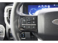 2025 Ford F-250SD Platinum